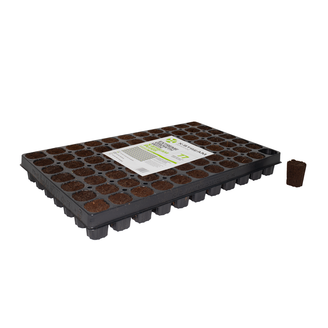 X-Stream Dry Plugs - (77 per tray)