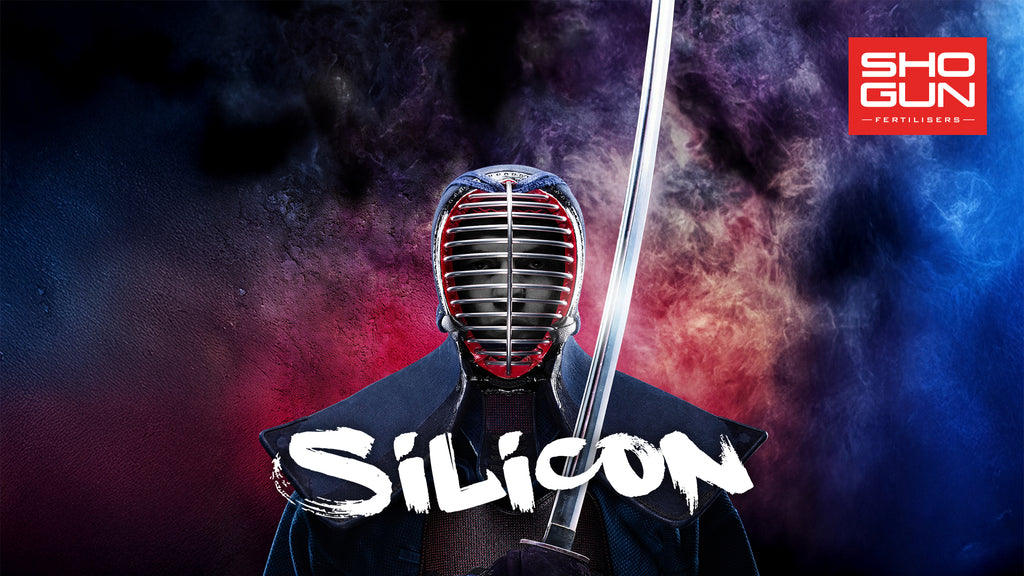 Shogun Silicon
