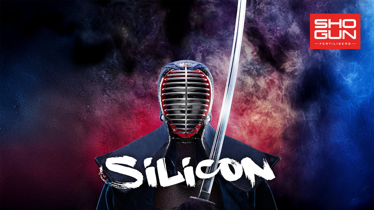 Shogun Silicon