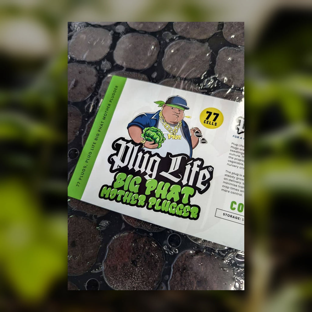 Plug Life Big Phat Mother Plugger 77 cell label