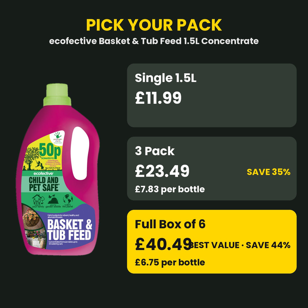 Basket & Tub Feed price guide – single vs 3 pack vs box of 6