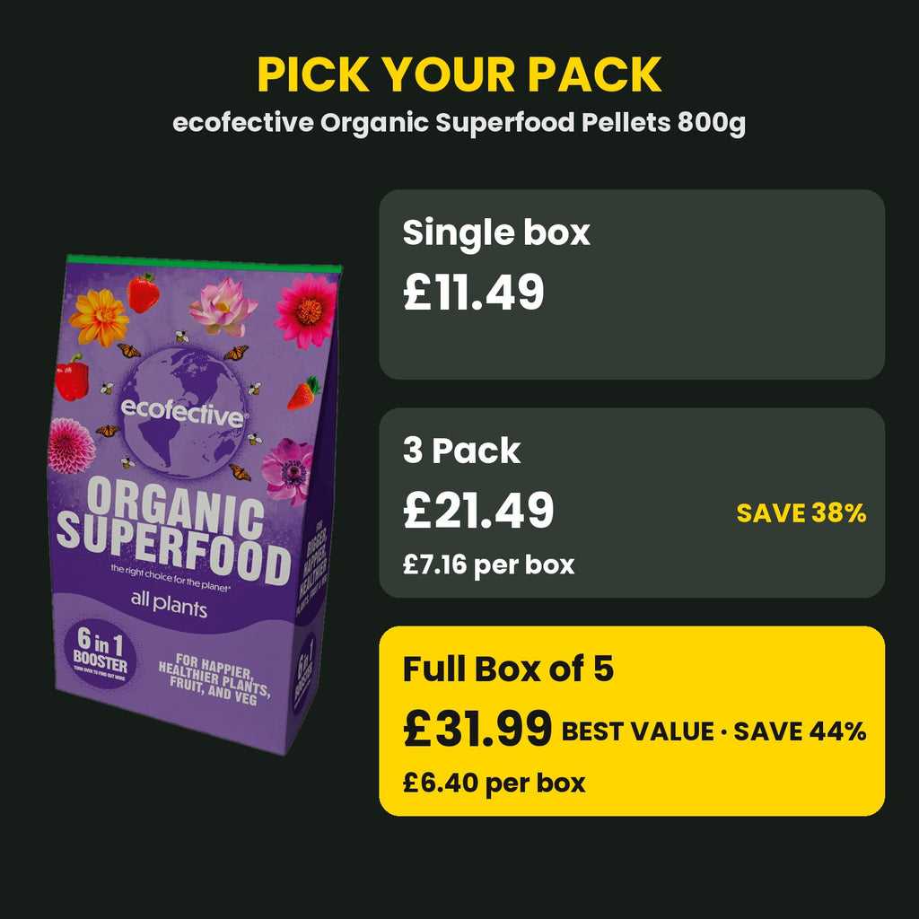 Organic Superfood pellets price guide – single vs 3 pack vs box of 5