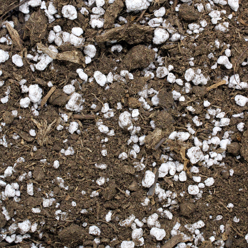 Carnivorous Plant Soil Mix peat and perlite blend