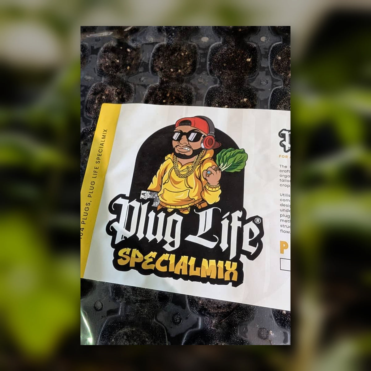 Plug Life SpecialMix 104 cell label