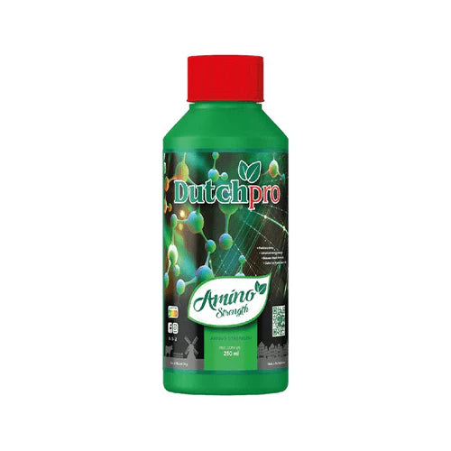 Dutch Pro - Amino Strength | Enhance Plant Growth and Resilience