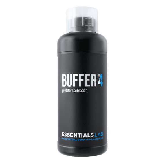 Essentials LAB - Buffer 4