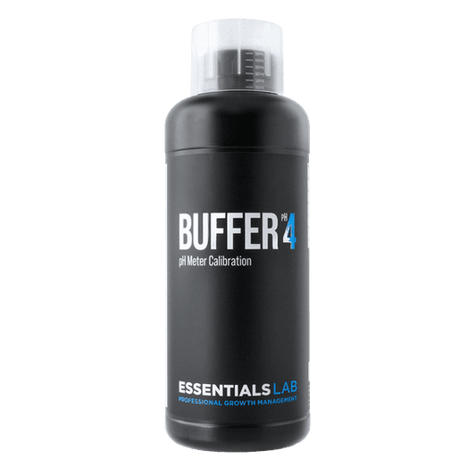 Essentials LAB - Buffer 4