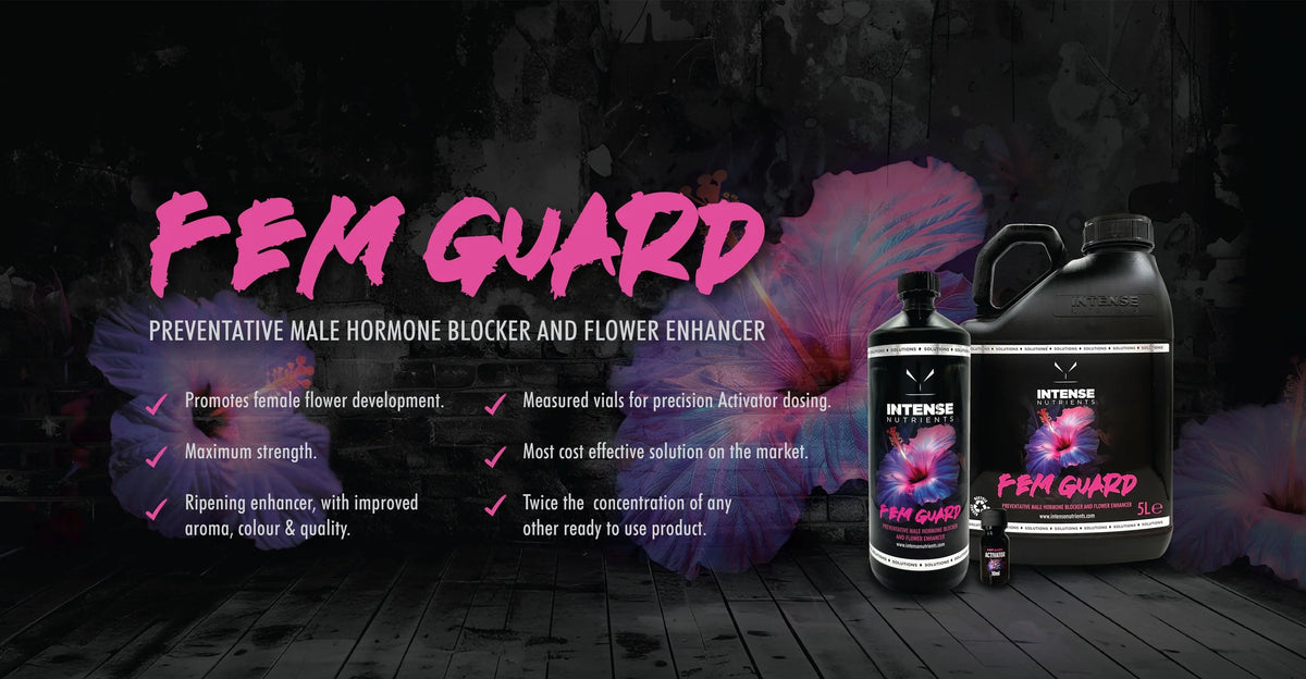 Intense Nutrients Fem Guard 1 litre and 5 litre with Activator