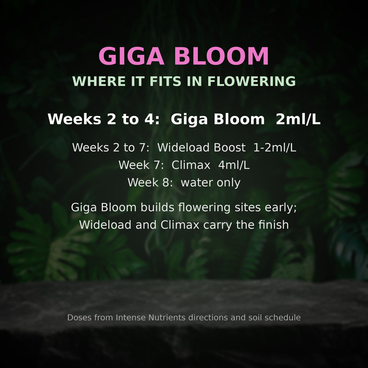 Giga Bloom flowering timeline with Wideload Boost and Climax
