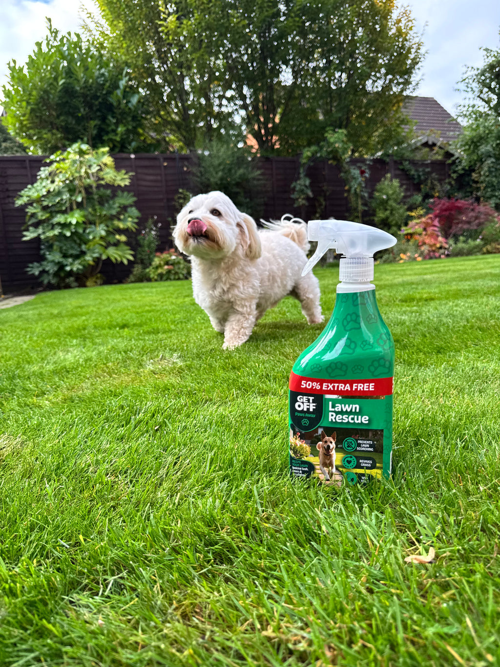 Dog on a lawn with Get Off Lawn Rescue