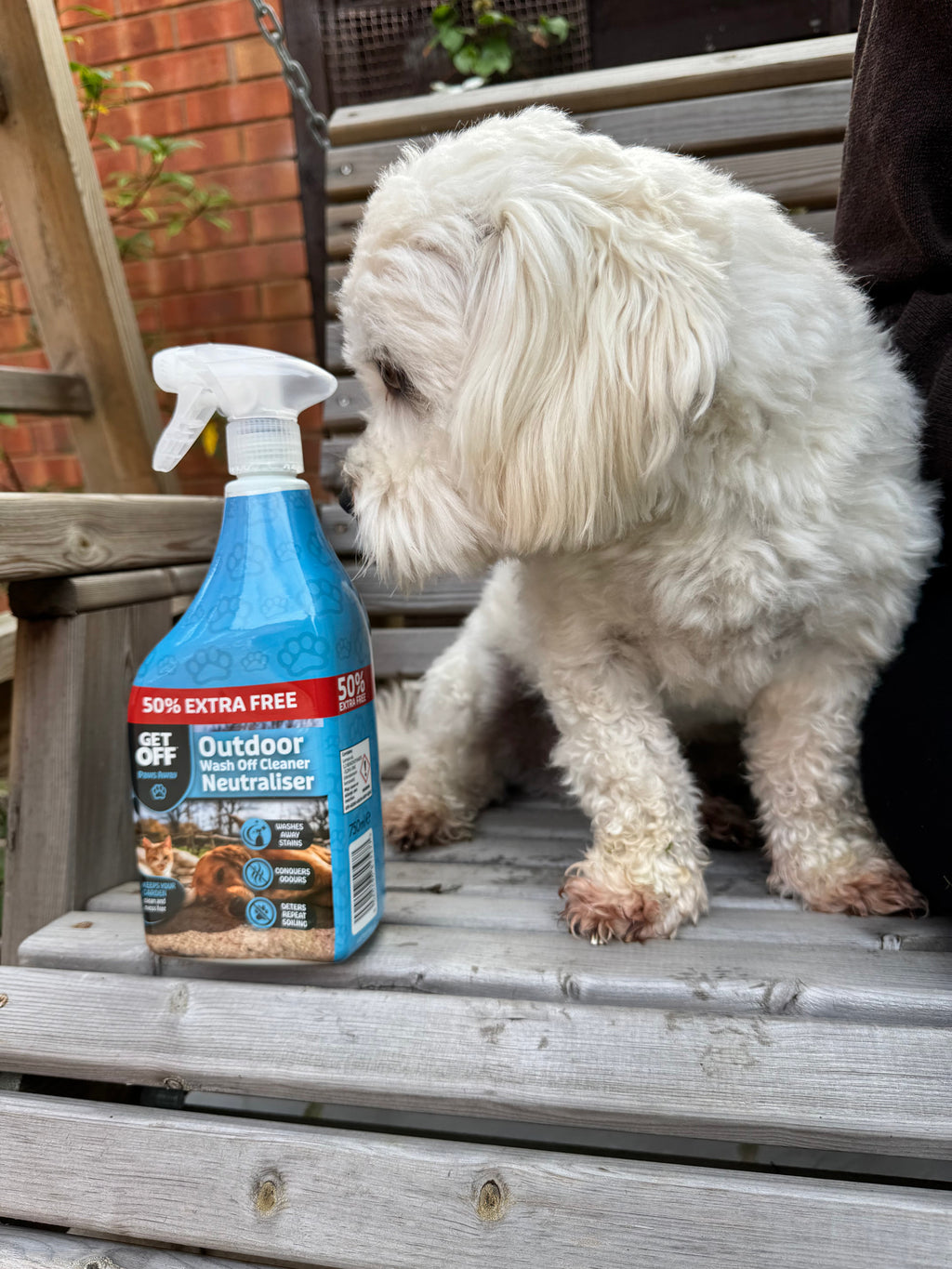Dog next to Wash Off Outdoor on garden steps
