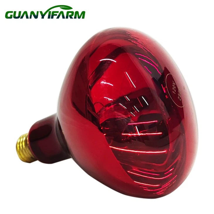 Guanyi - Infrared Lamp 250W