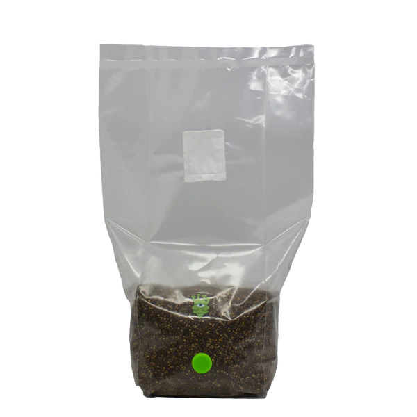 MushBag Grow Kit