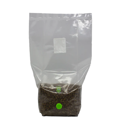 MushBag Grow Kit