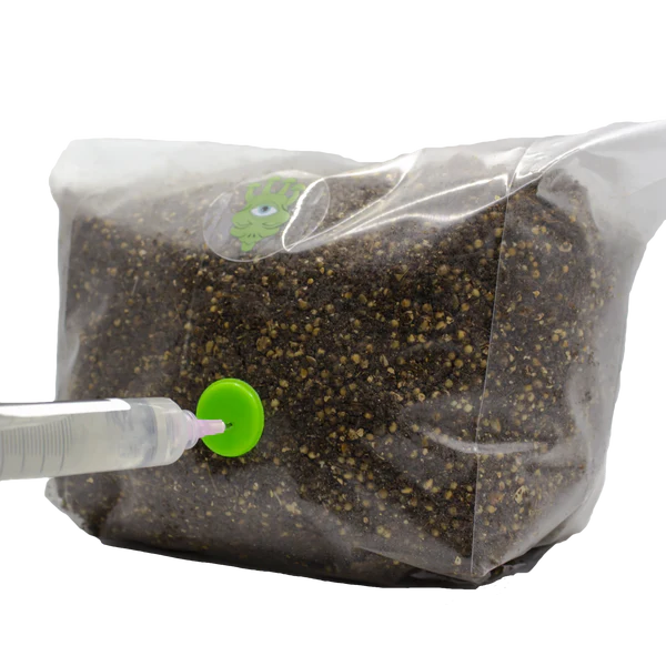 MushBag Grow Kit