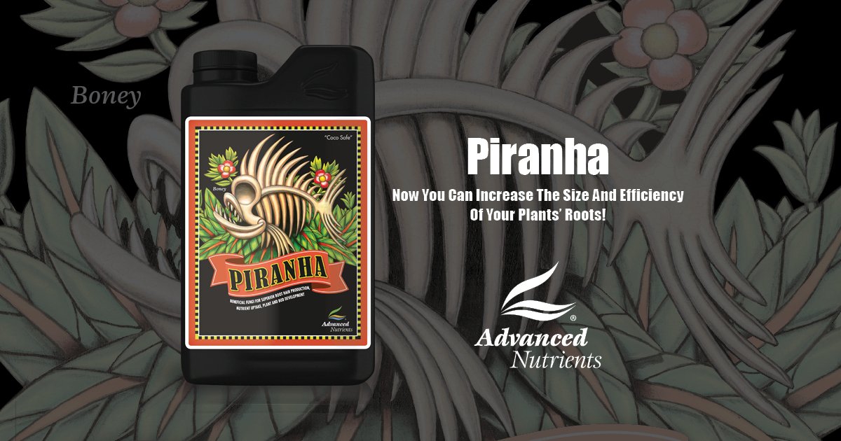 Advanced Nutrients Piranha beneficial fungi