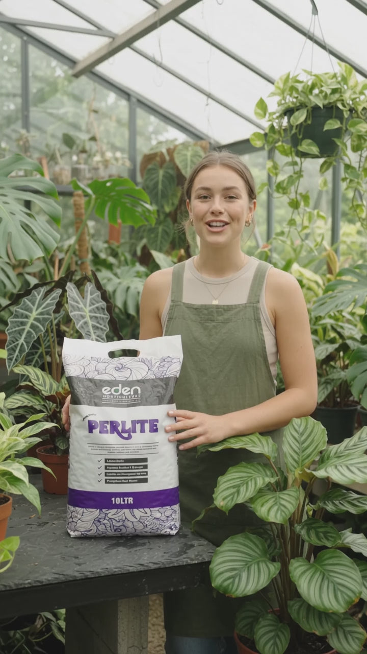 Perlite Soil Conditioner for Houseplants & Succulents – Eden Essentials