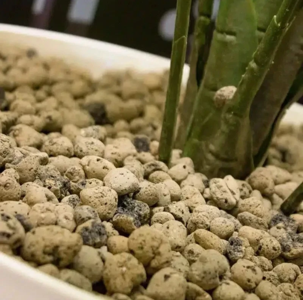 CANNA - Aqua Clay (worek 45L)