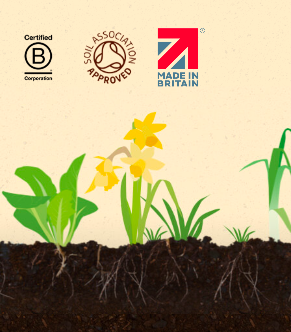 Carbon Gold Decanted