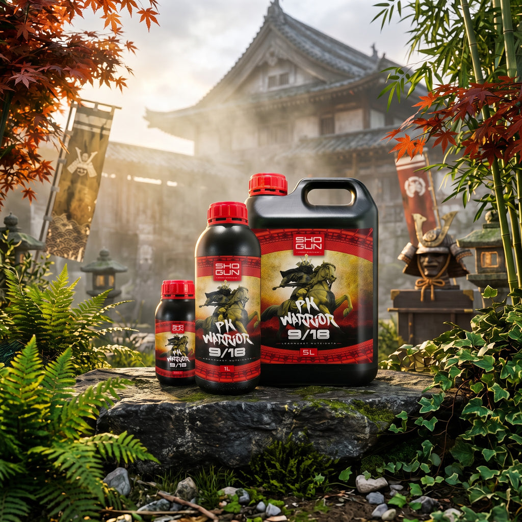 Shogun - PK Warrior 9/18 (PK Booster)