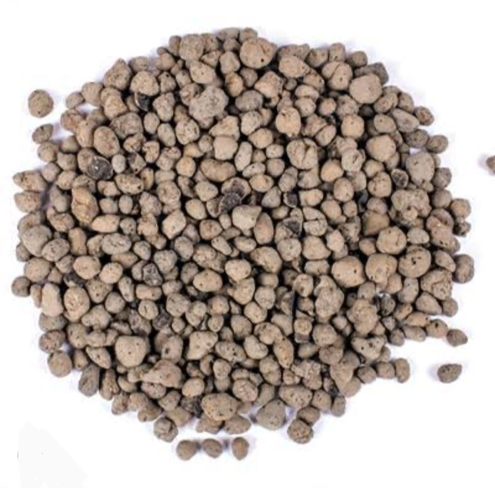 LECA Clay Pebbles for Semi-Hydro Aroids & Orchids – Eden Essentials