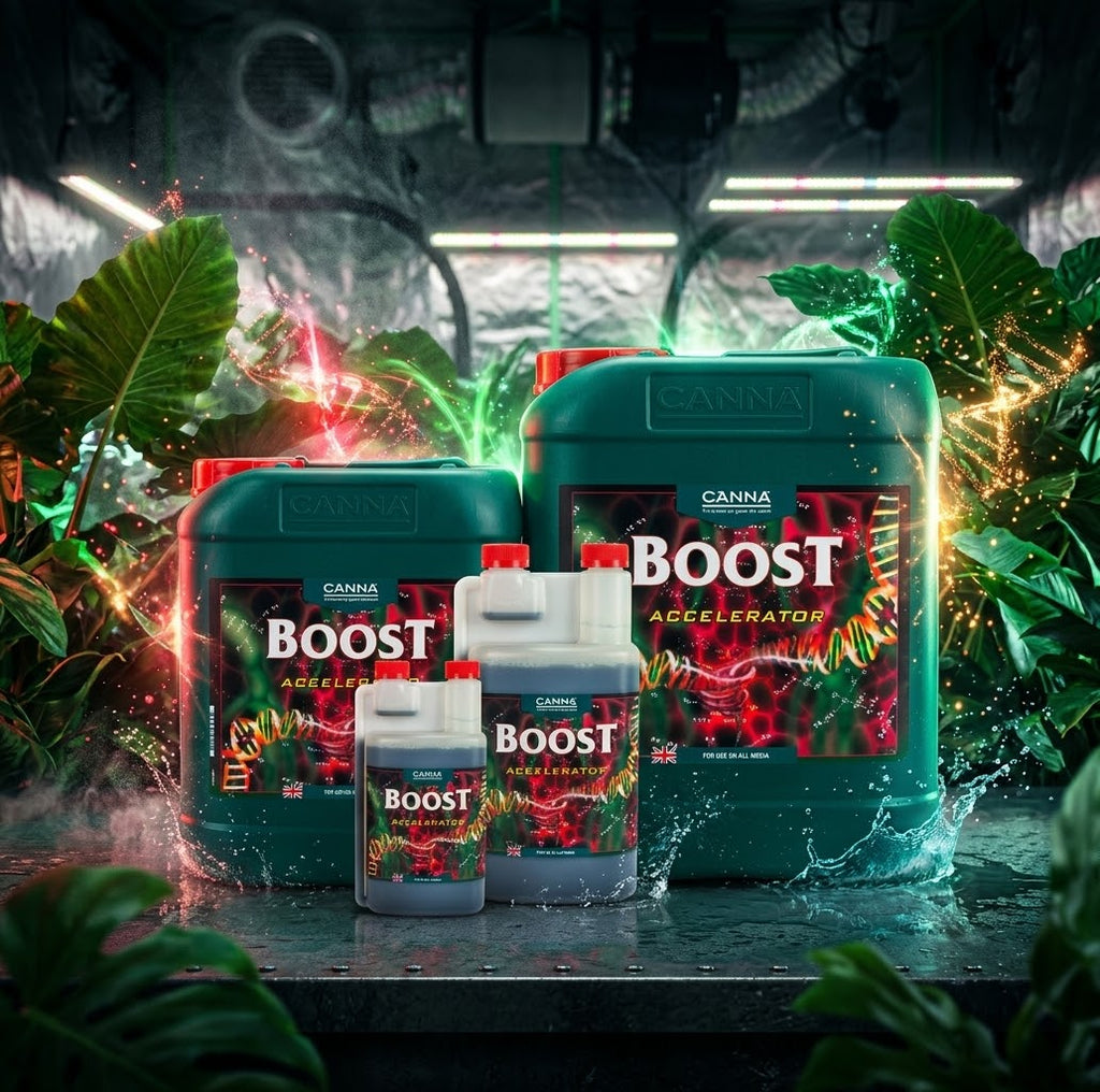 CANNA Boost Accelerator – Flowering Booster