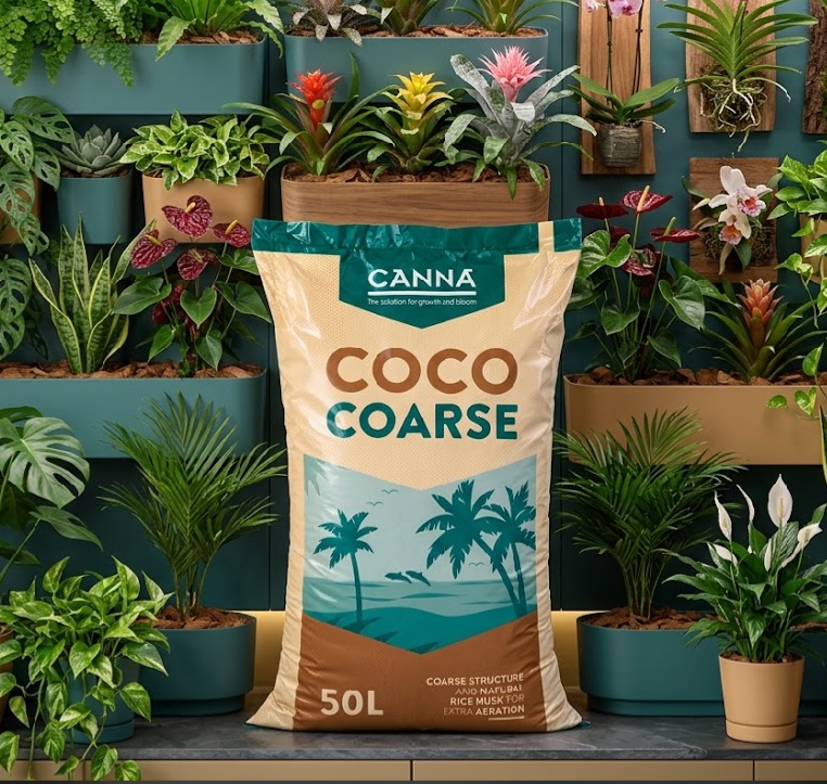 CANNA Coco Coarse – Airy Peat-Free Coco for Monstera & Aroids