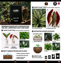 Mills Lightmix – Bio-Mineral Peat Potting Soil