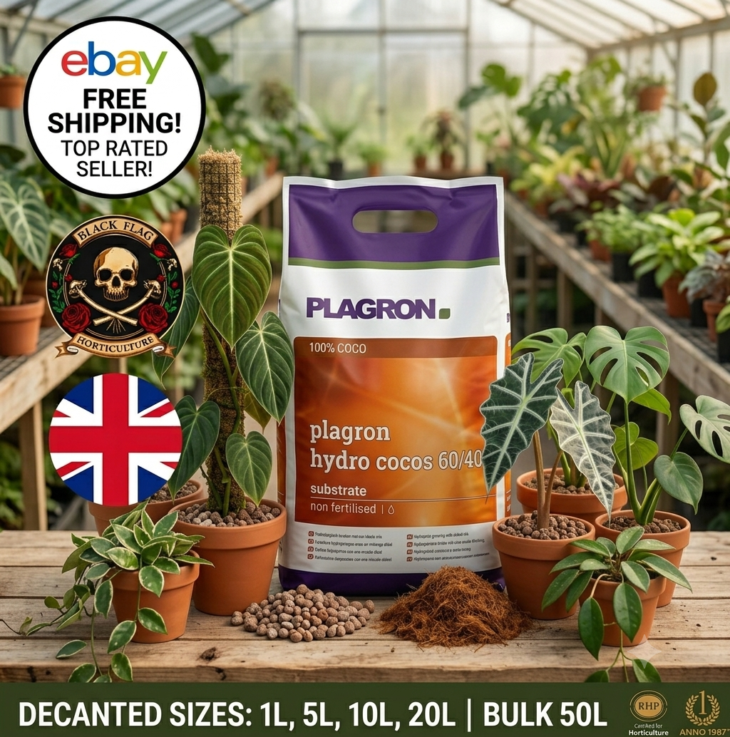 Plagron Hydro Cocos 60/40