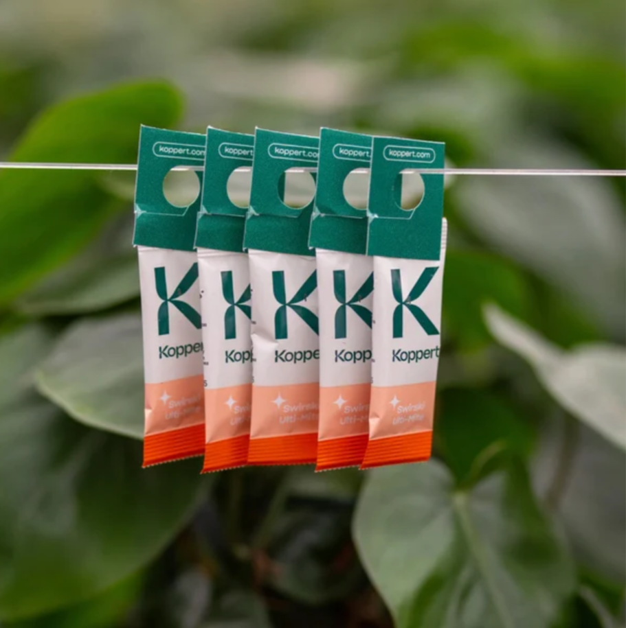 Houseplant Pest Guard – Spider Mite & Thrips Predator Sachets | Spical Plus & Thripex (Koppert) - image 19