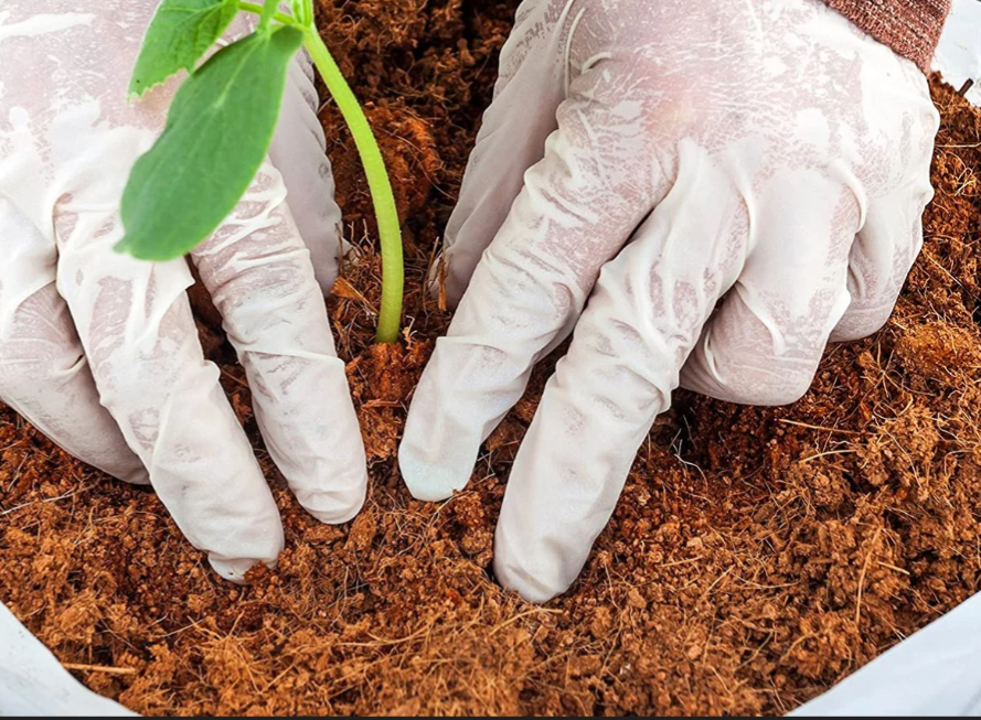 Plant Magic Coco Supreme Growing Media