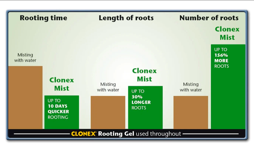 Clonex Mist Concentrate – Growth Technology