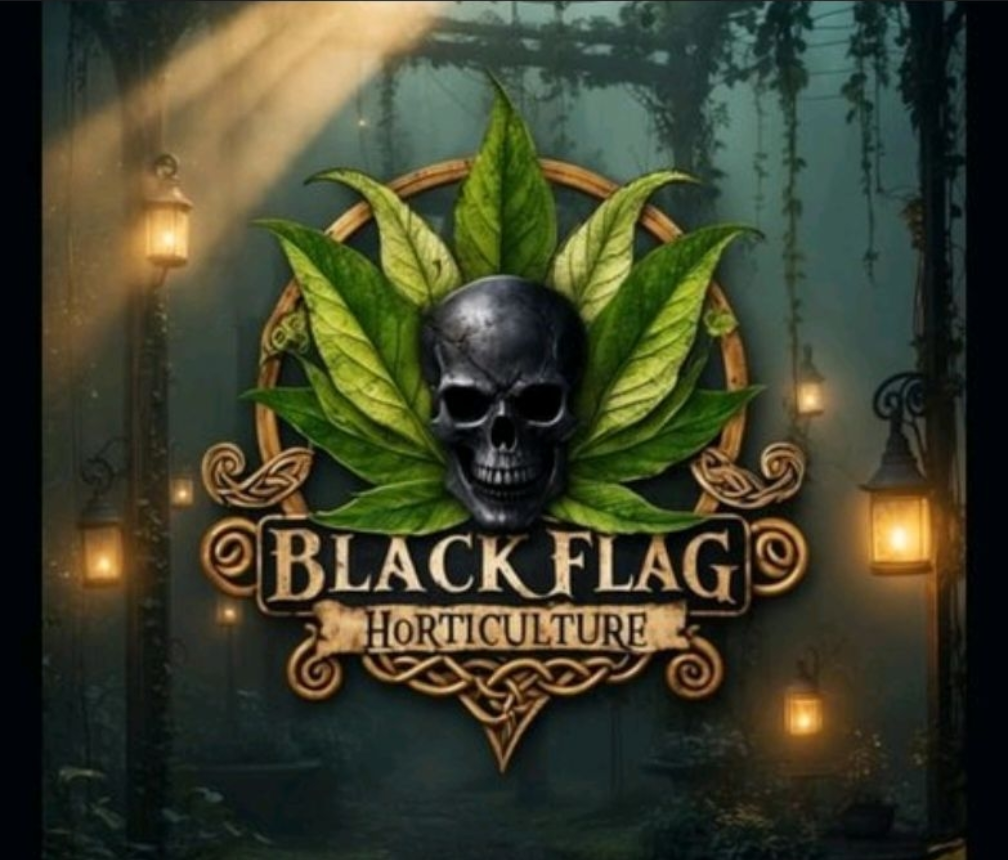 Akadama Alternative: Premium, Sustainable Horticultural Grit Leca for Bonsai (2-4mm)