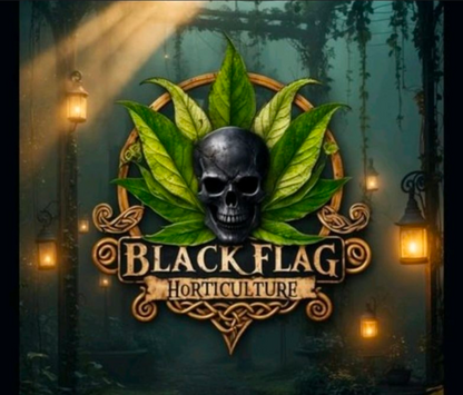 Akadama Alternative: Premium, Sustainable Horticultural Grit Leca for Bonsai (2-4mm)