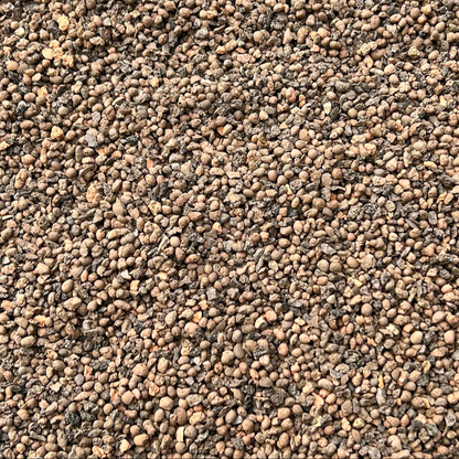 Akadama Alternative: Premium, Sustainable Horticultural Grit Leca for Bonsai (2-4mm)