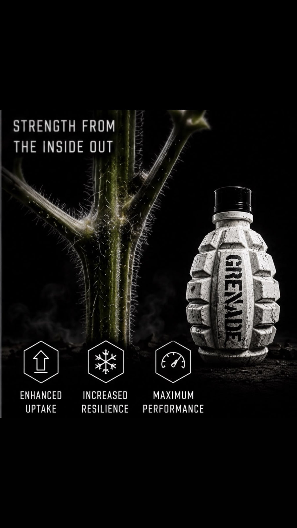 Silicic Acid Plant Strengthener – Grenade White MSA Max