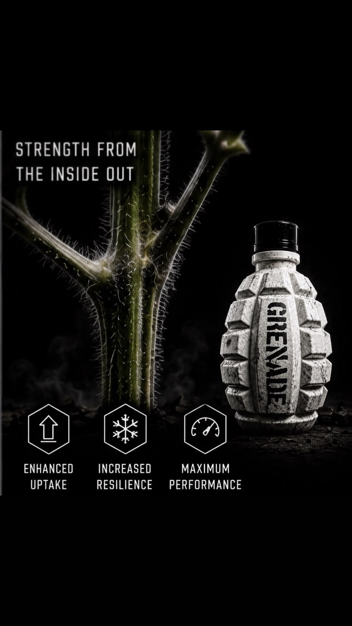 Silicic Acid Plant Strengthener – Grenade White MSA Max