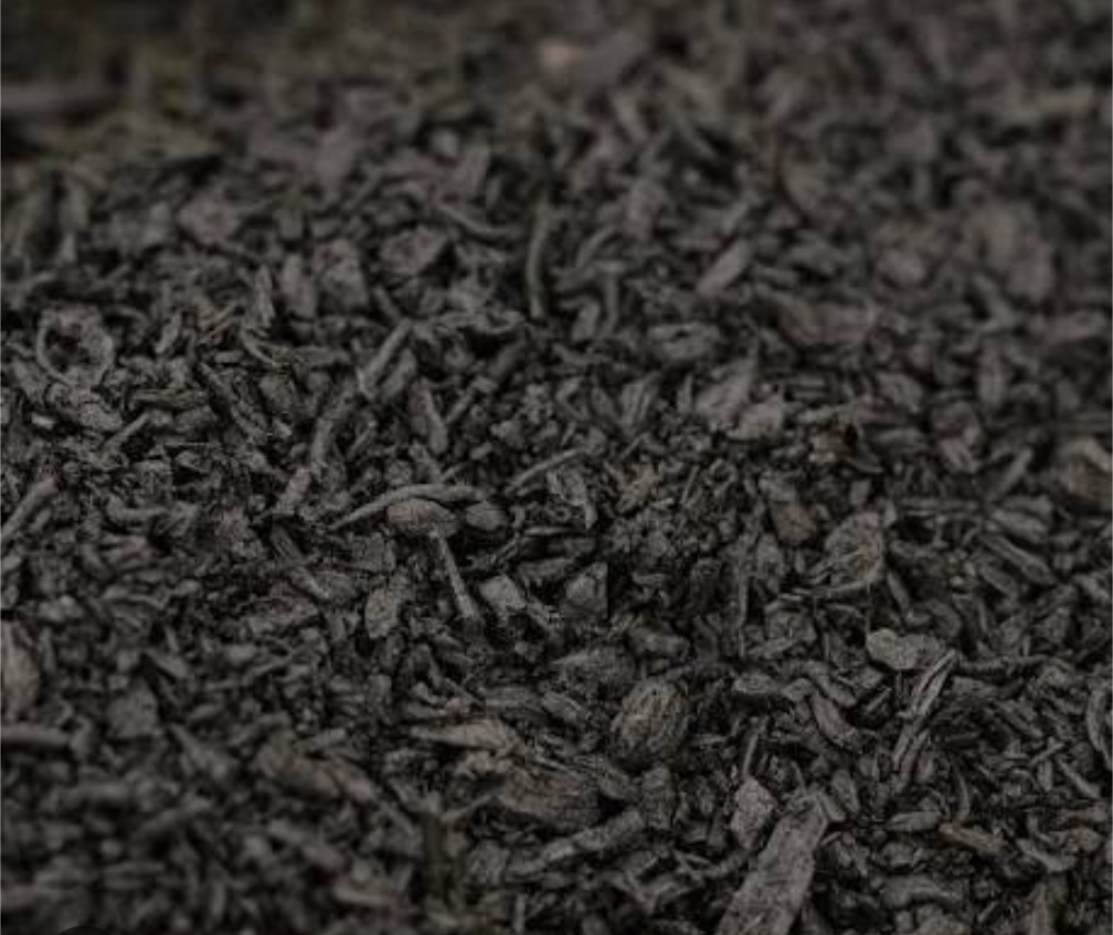 BioChar