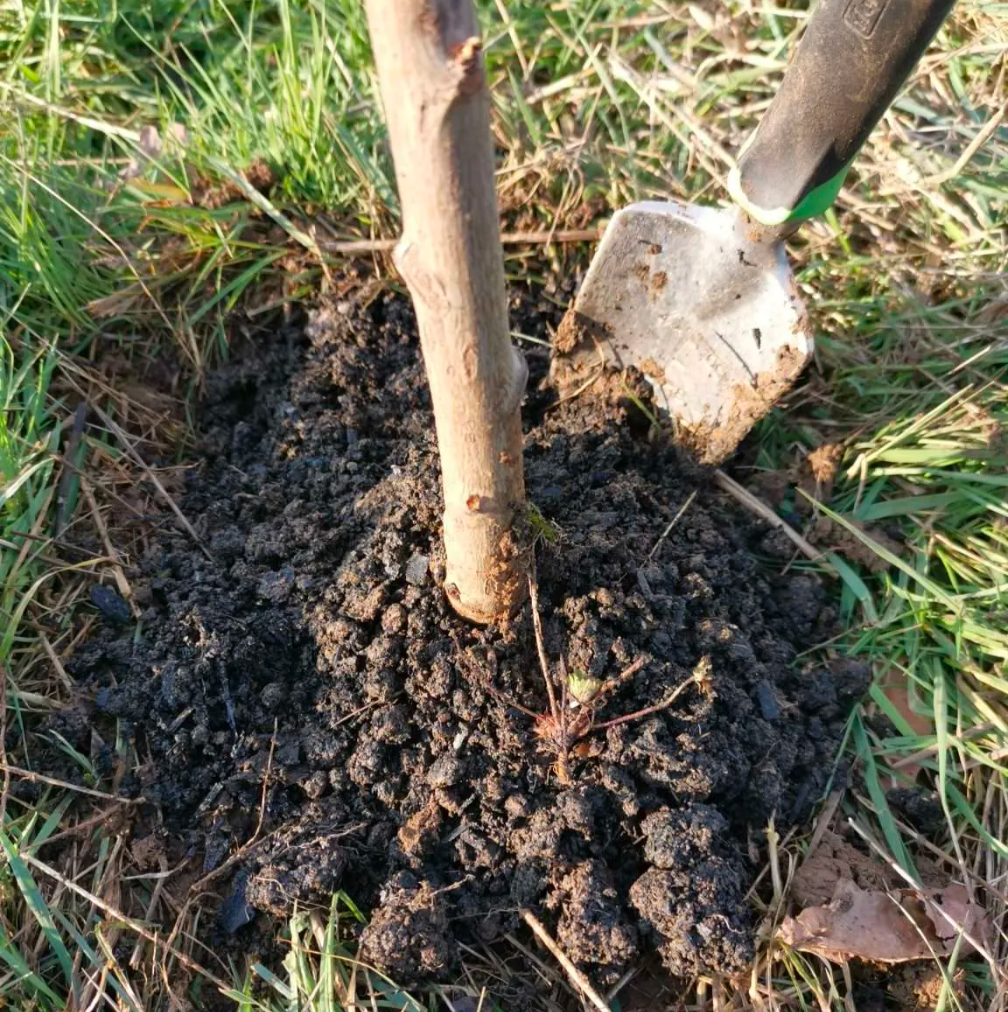 The Oxford Charcol Company Pure Biochar