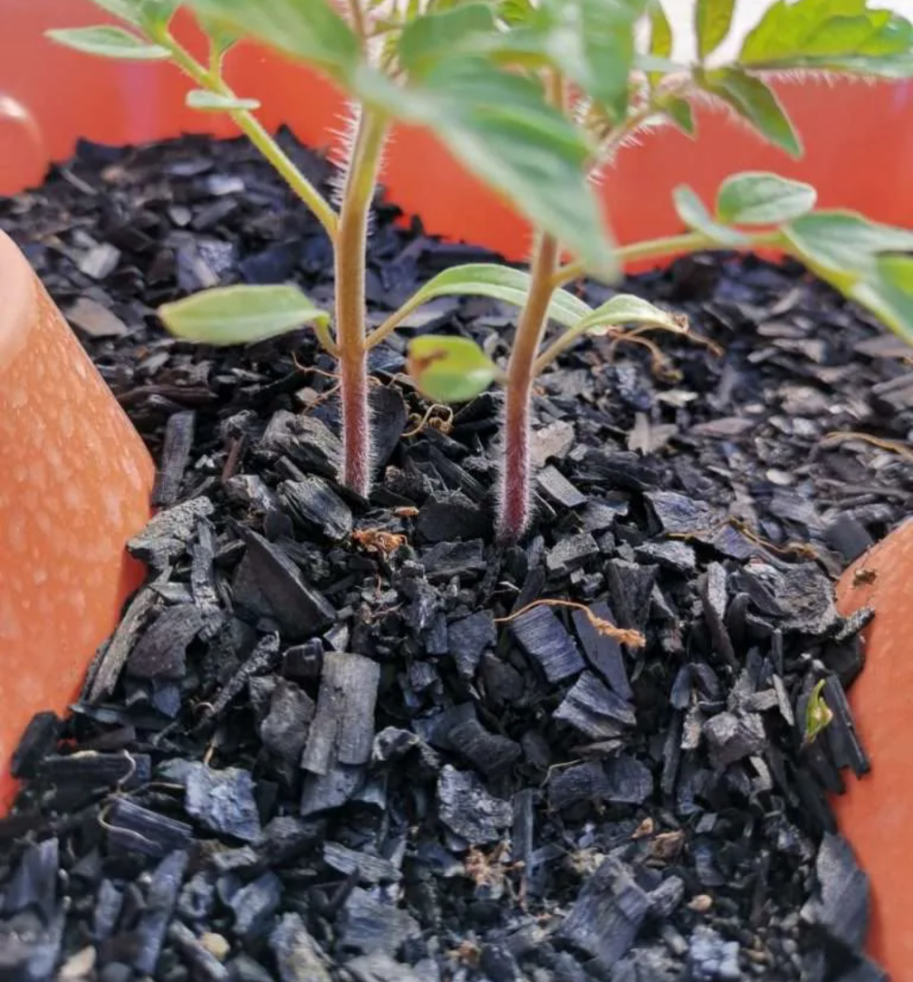 The Oxford Charcol Company Pure Biochar