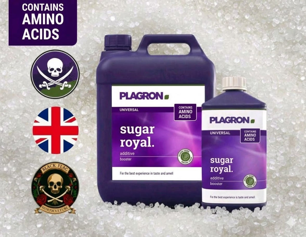 Plagron Sugar Royal Taste & Yield Enhancer