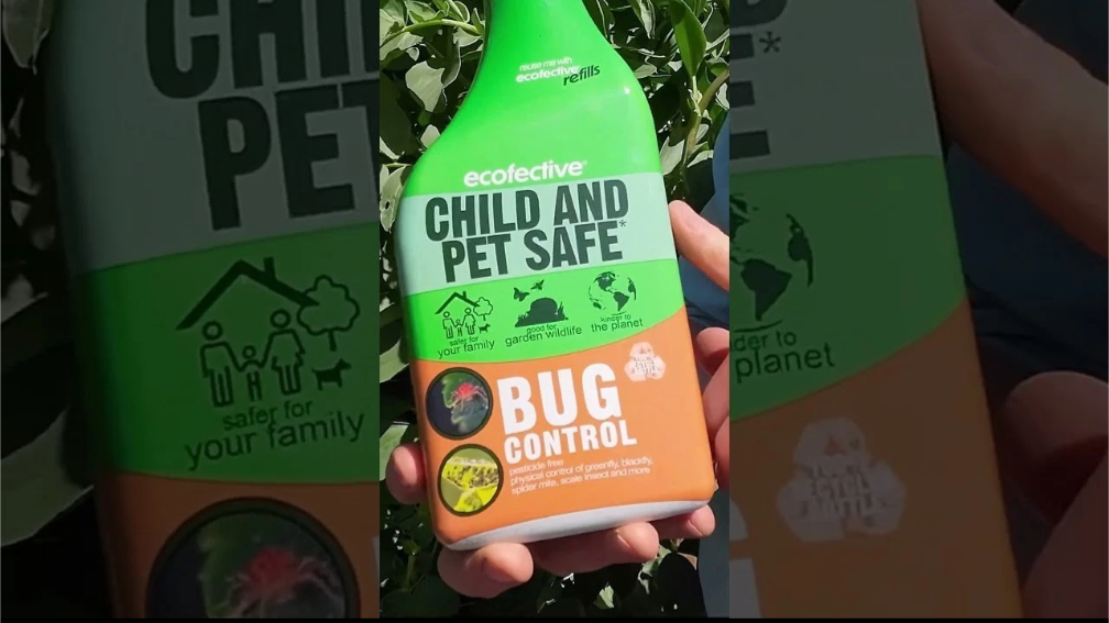 Ecofective: Bug Control