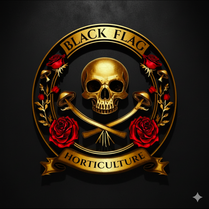 Akadama Alternative: Premium, Sustainable Horticultural Grit Leca for Bonsai (2-4mm)