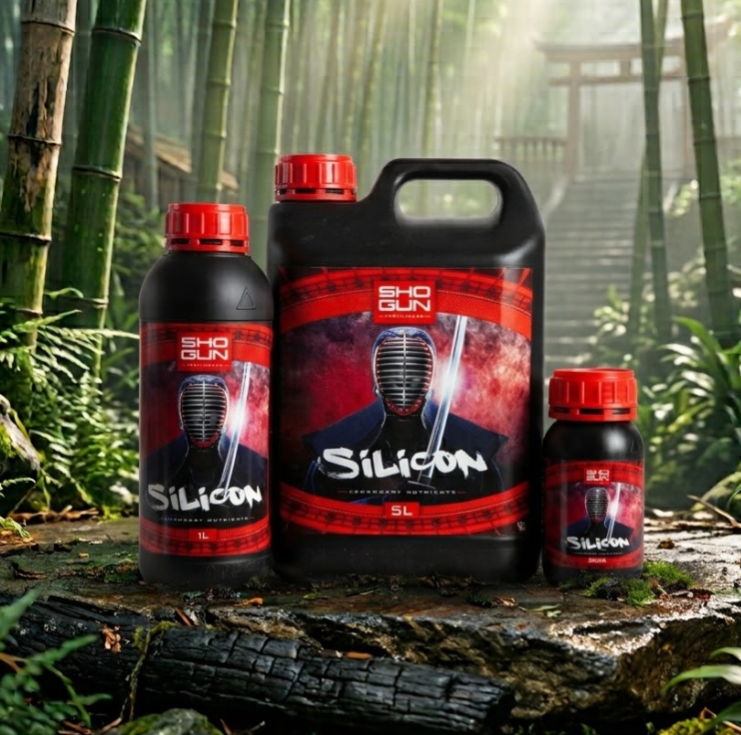 Shogun - Silicon