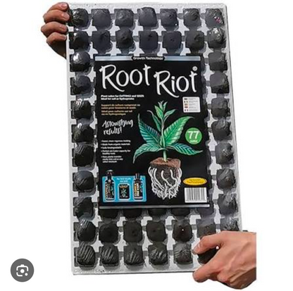 Root Riot - Plant Cubes