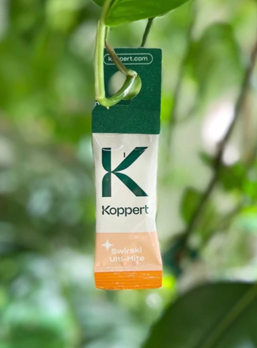 Houseplant Pest Guard – Spider Mite & Thrips Predator Sachets | Spical Plus & Thripex (Koppert)