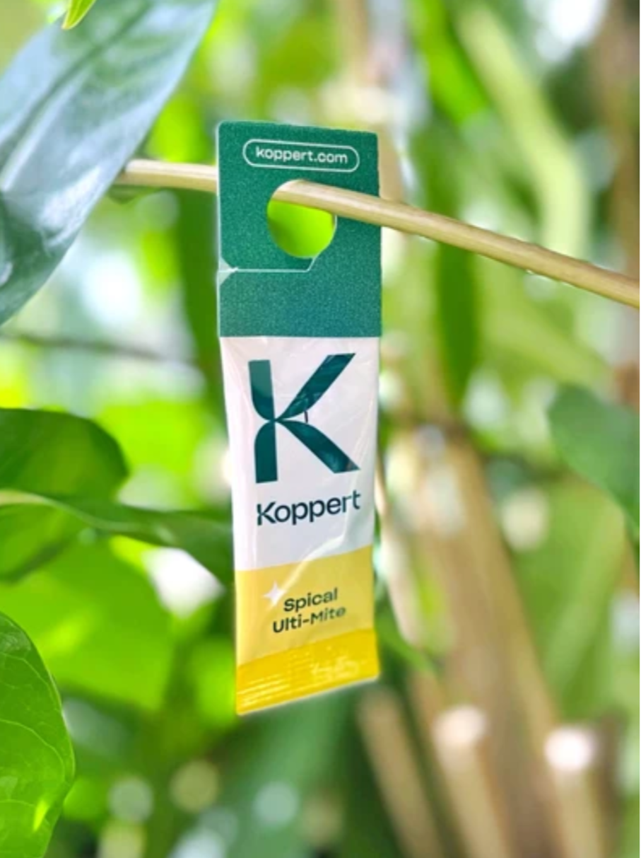 Houseplant Pest Guard – Spider Mite & Thrips Predator Sachets | Spical Plus & Thripex (Koppert)
