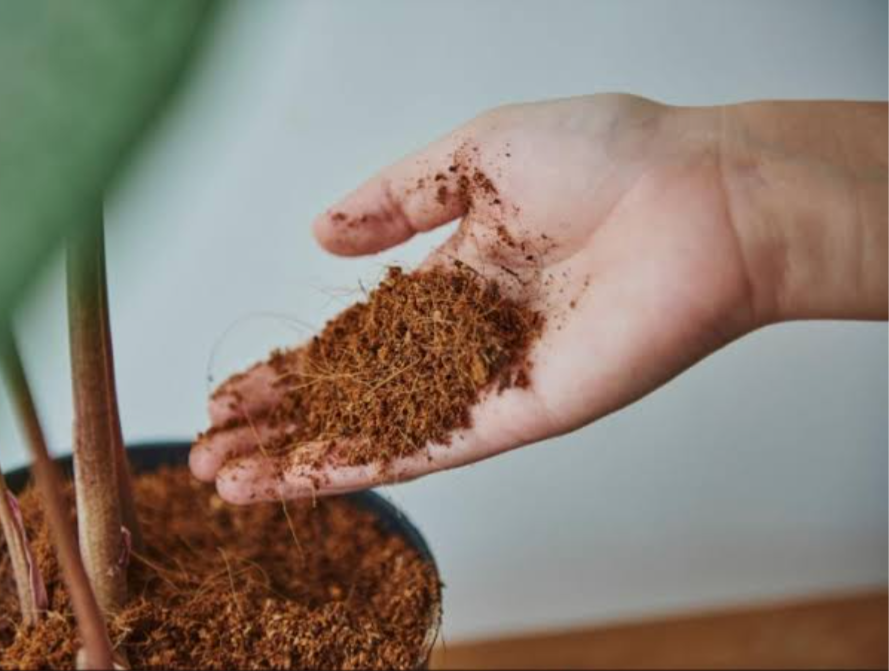 Plant Magic Coco Supreme Growing Media