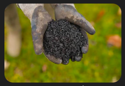 BioChar
