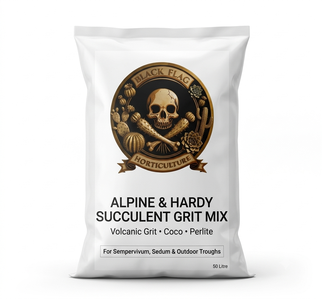 Alpine & Hardy Succulent Grit Mix by Black Flag Horticulture
